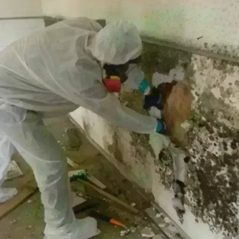 Mold Remediation and Removal in Sand Hill, PA